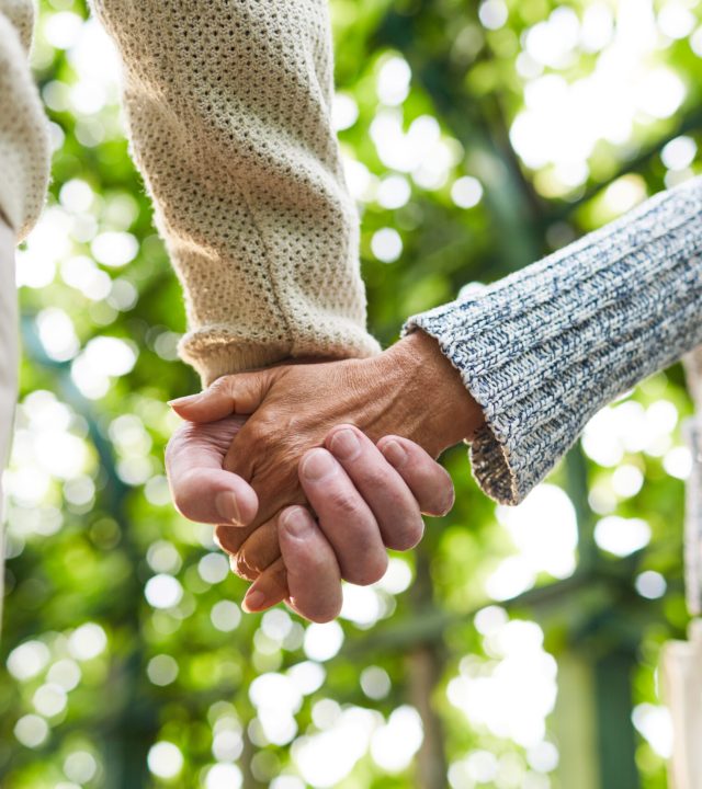 Hands of senior couple during walk in tree alley on sunny day